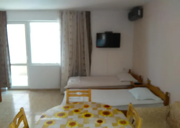 D. Bogdanova Pensionat 3*