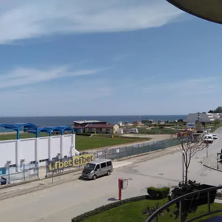 D. Bogdanova ابزور